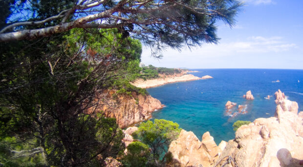 Paysage typique de la costa brava en espagne